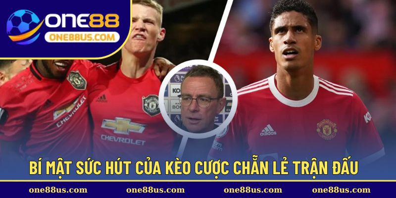 Bí mật sức hút của kèo cược chẵn lẻ trận đấu