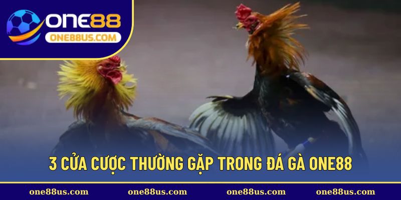 3 cửa cược thường gặp trong đá gà ONE88