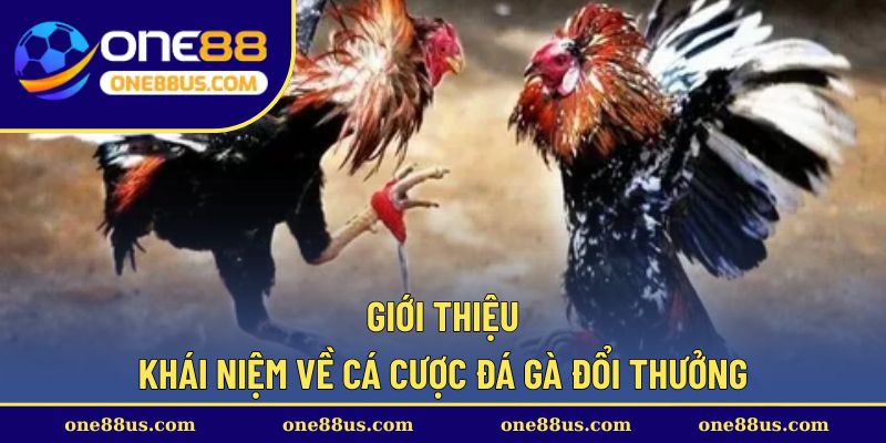 Giới thiệu khái niệm về cá cược đá gà đổi thưởng
