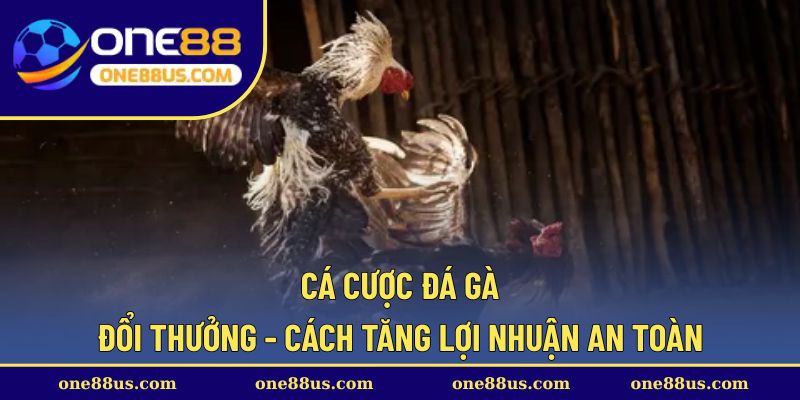 ca-cuoc-da-ga-doi-thuong-thumb