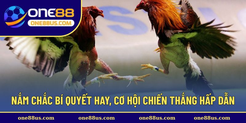 Nắm chắc bí quyết hay, cơ hội chiến thắng hấp dẫn