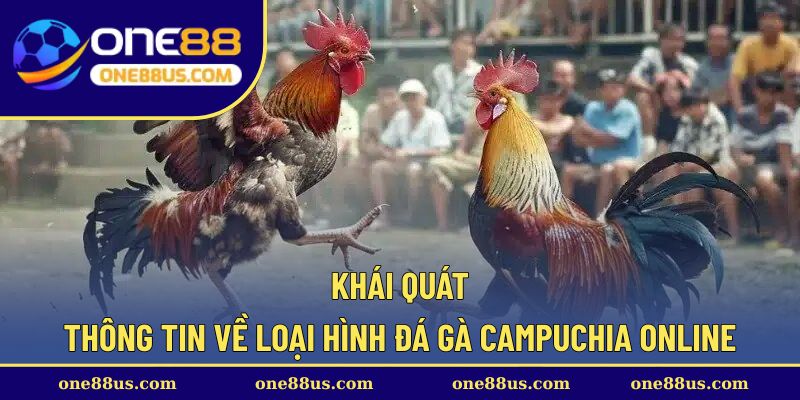 Khái quát thông tin về loại hình đá gà Campuchia online