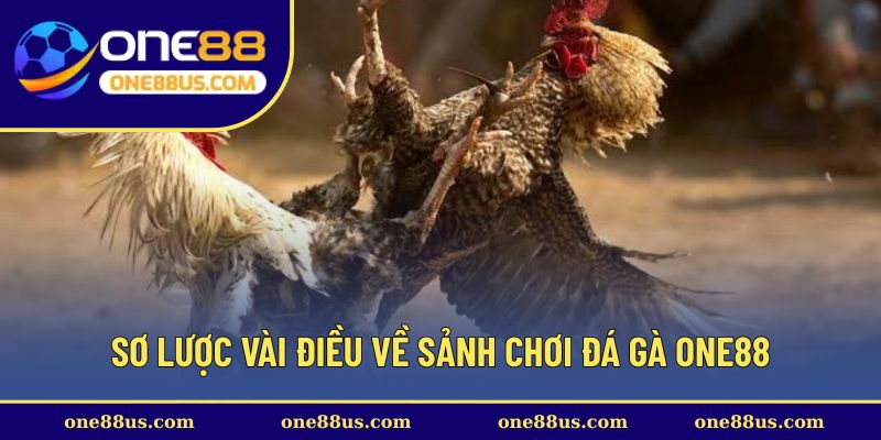 Sơ lược vài điều về sảnh chơi đá gà ONE88