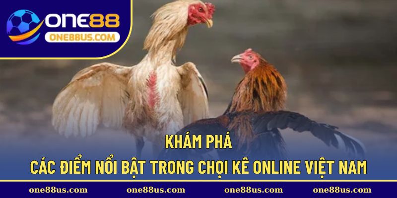 Khám phá các điểm nổi bật trong chọi kê online Việt Nam