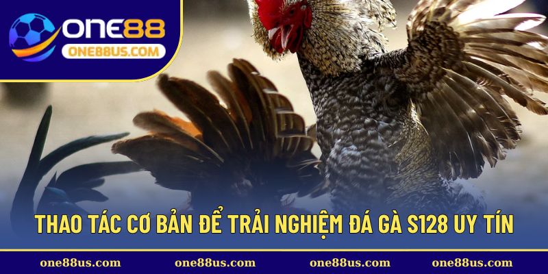 Thao tác cơ bản để trải nghiệm đá gà S128 uy tín