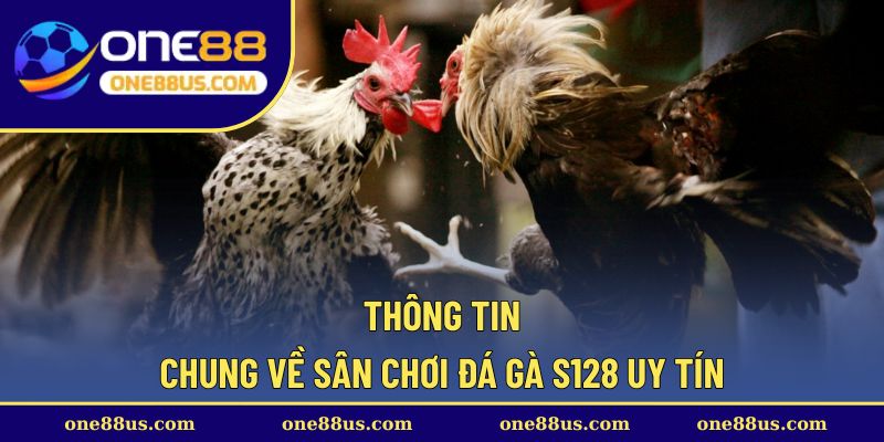 Thông tin chung về sân chơi đá gà S128 uy tín