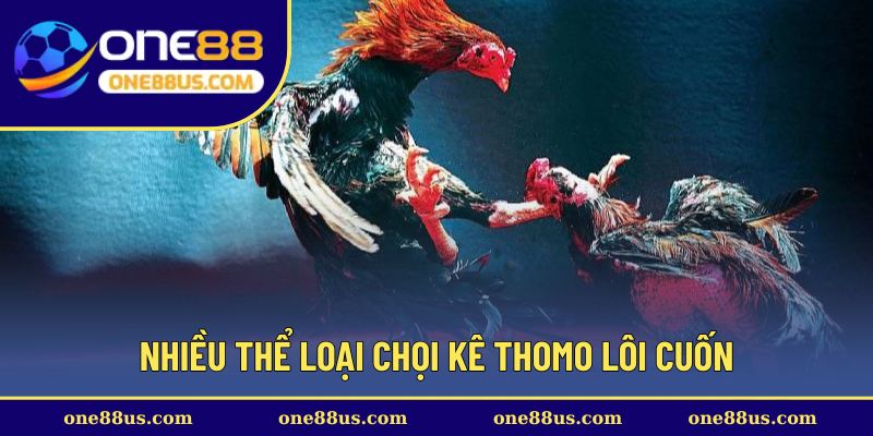 Nhiều thể loại chọi kê Thomo lôi cuốn