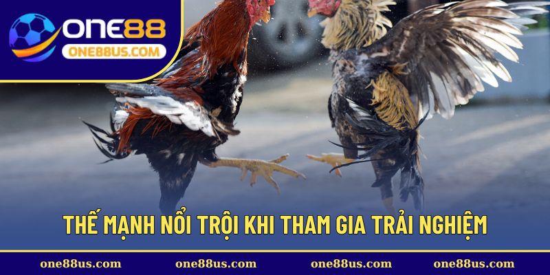 Thế mạnh nổi trội khi tham gia trải nghiệm