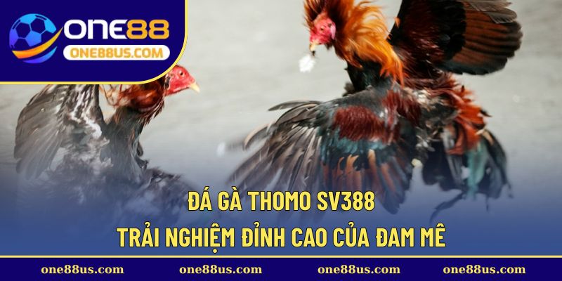 da-ga-thomo-sv388-thumb