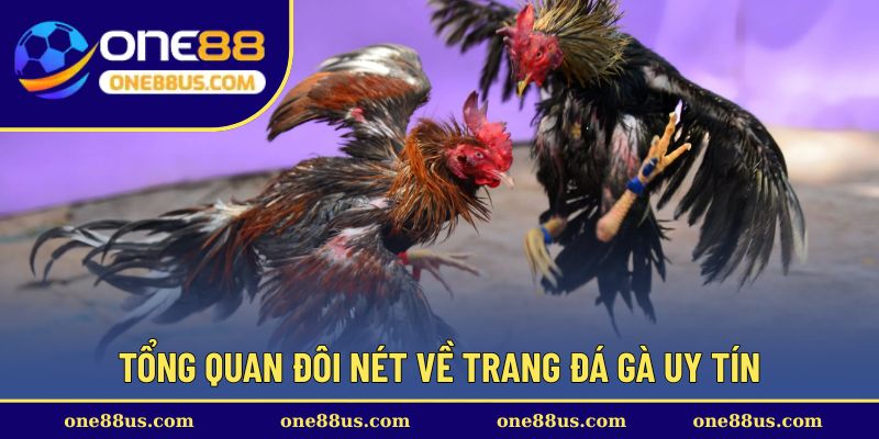 Tổng quan đôi nét về trang đá gà uy tín